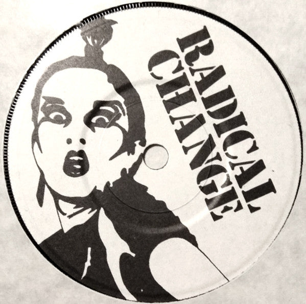 Disrupters | Shelters For The Rich (7" single)