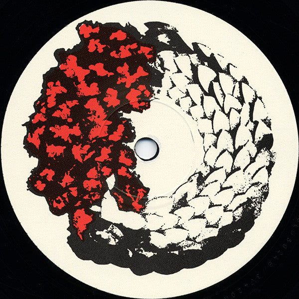 Siouxsie And The Banshees | Join Hands (12" album)