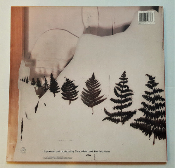 The Beta Band | The Patty Patty Sound (12" single)