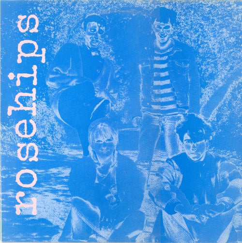 The Rosehips | I Shouldn't Have To Say ( 12" single)