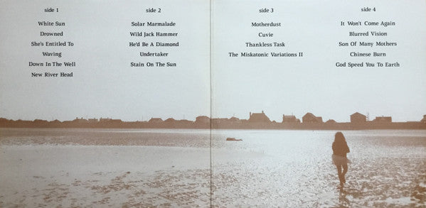 The Bevis Frond | New River Head (12" album)
