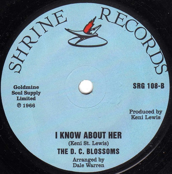 The D. C. Blossoms | Hey Boy (7" single)