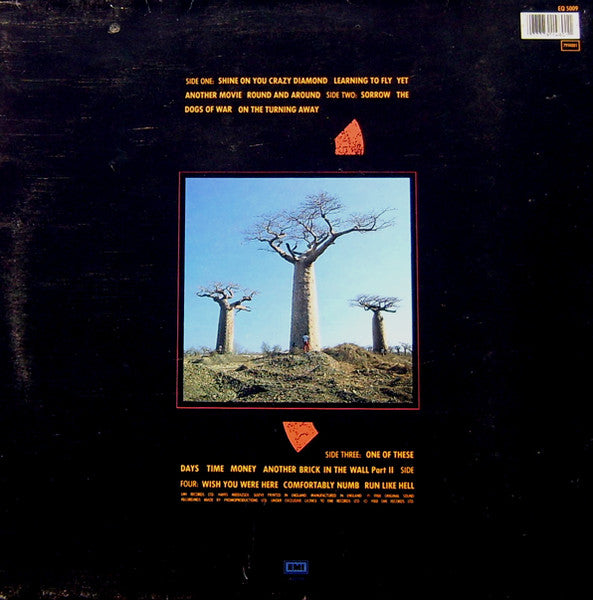 Pink Floyd | Delicate Sound Of Thunder (12" album)