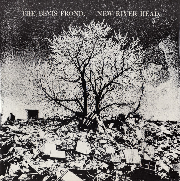 The Bevis Frond | New River Head (12" album)