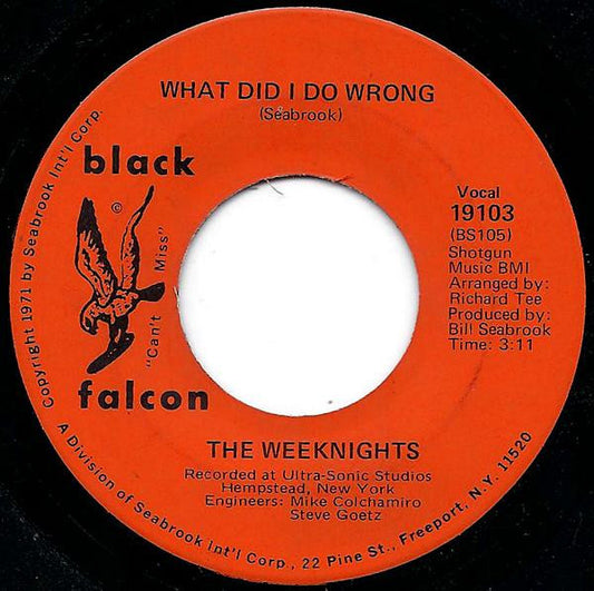 The Weeknights | What Did I Do Wrong (7" single)