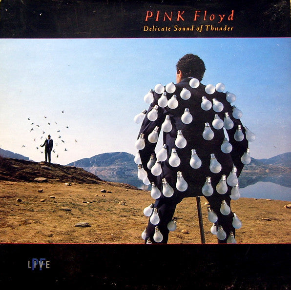 Pink Floyd | Delicate Sound Of Thunder (12" album)