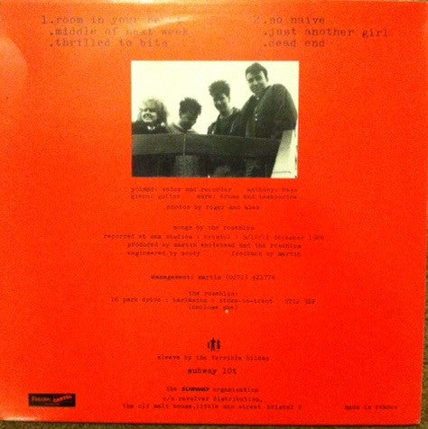 The Rosehips | Room In Your Heart ( 12" single)