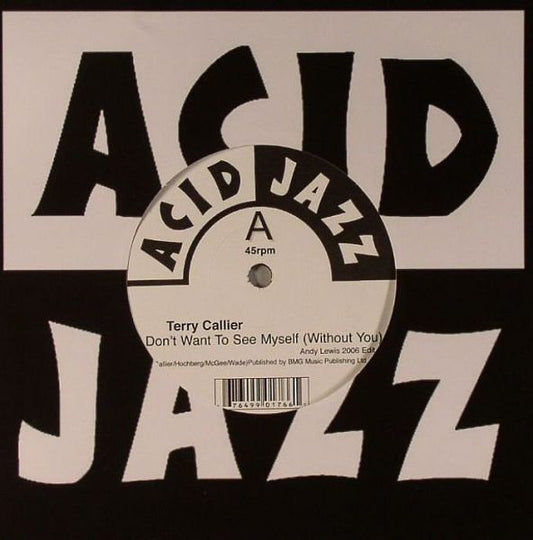 Terry Callier | I Don't Want To See Myself (Without You) (7" single)