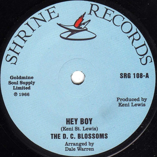 The D. C. Blossoms | Hey Boy (7" single)