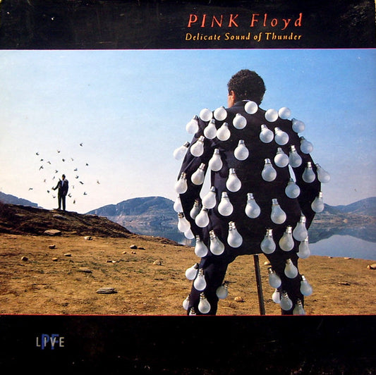 Pink Floyd | Delicate Sound Of Thunder (12" album)