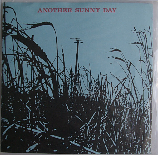 Another Sunny Day | Im In Love With A Girl Who Doesn’t Know I Exist (7 inch single)