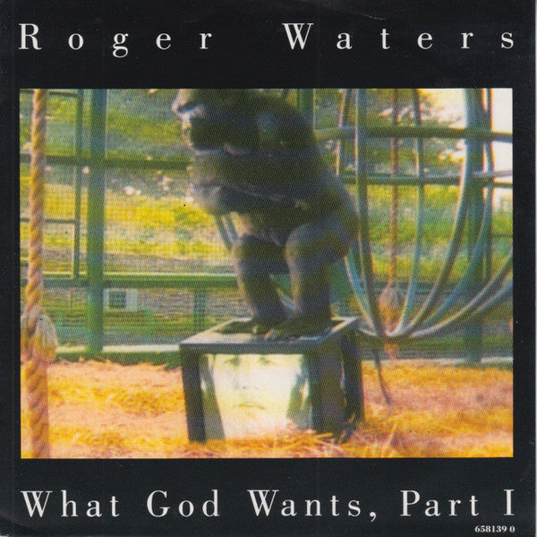 Roger Waters | What God Wants (7 inch Single)