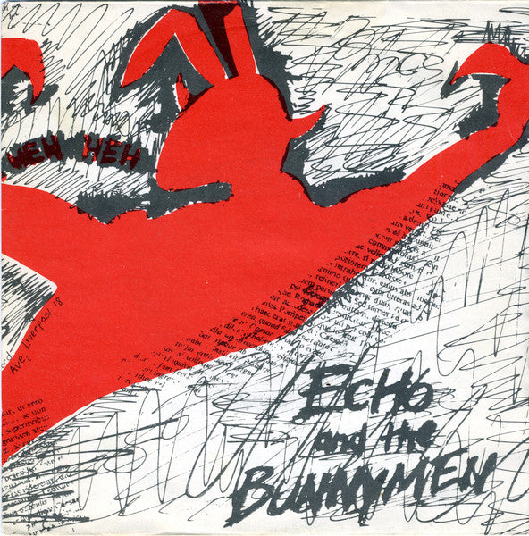 Echo and the Bunnymen | The Pictures On My Wall (7 inch single)