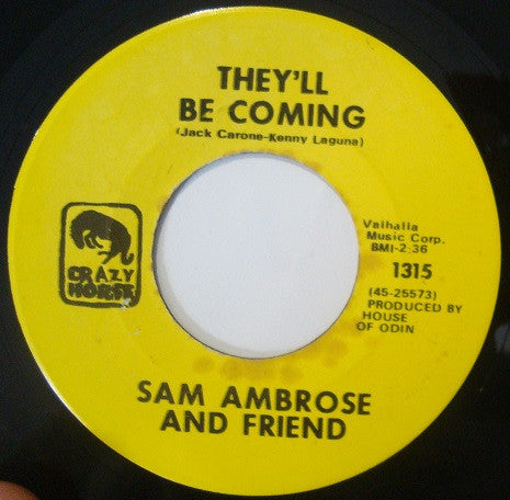 Sam Ambrose And Friend | They'll Be Coming (7 inch Single)